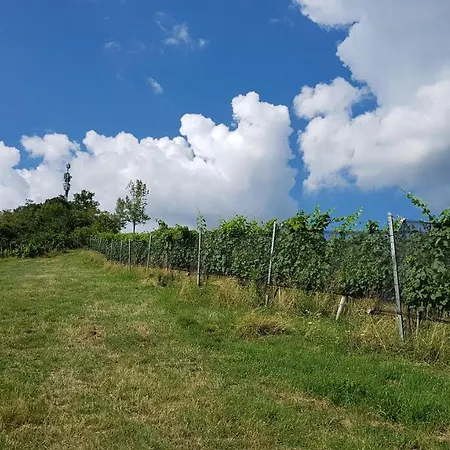 Winzerhaus Hébergement de vacances Klöch